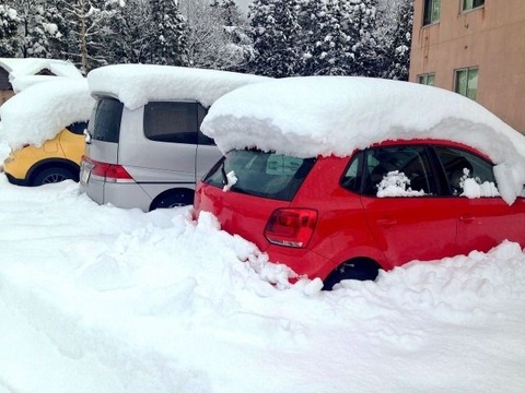 雪で車出せない