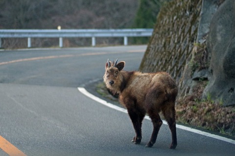 山ドライブ