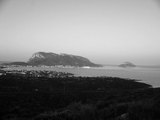 penisola