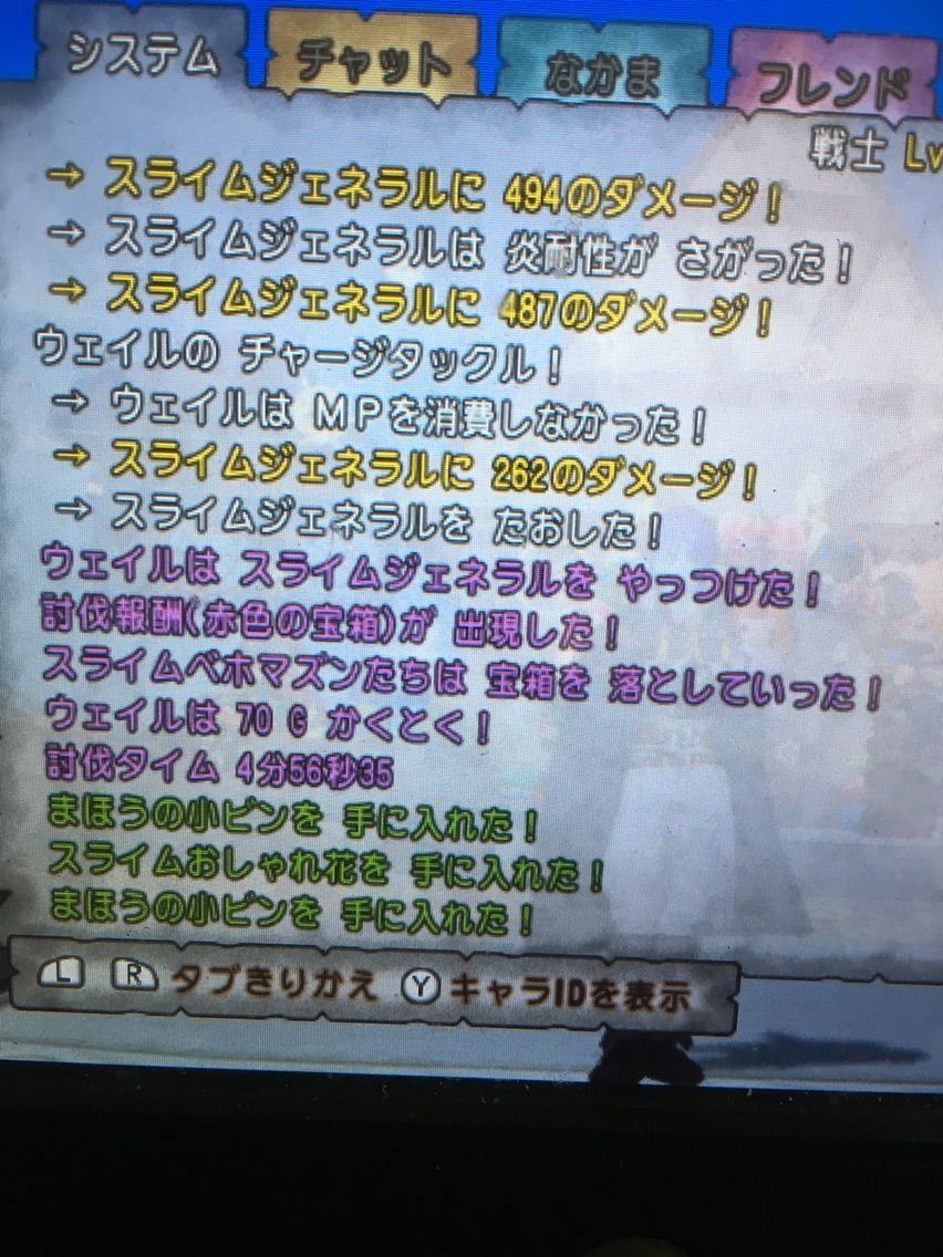 スライムジェネラル初日サポのみ撃破！アタッカーはやっぱり楽しい！ : ドラクエ10 残念魚の気の向くままにふらふらと