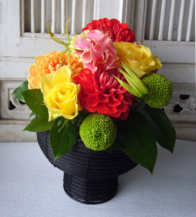 朝日てまり ヴェロニカ便り