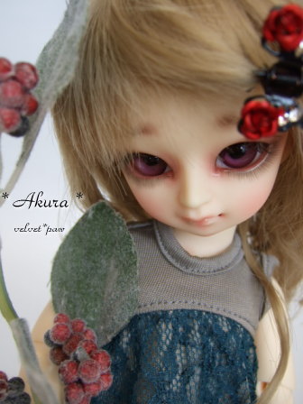 51a8cbf6.jpg