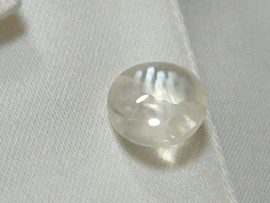 9737dcf0.jpg