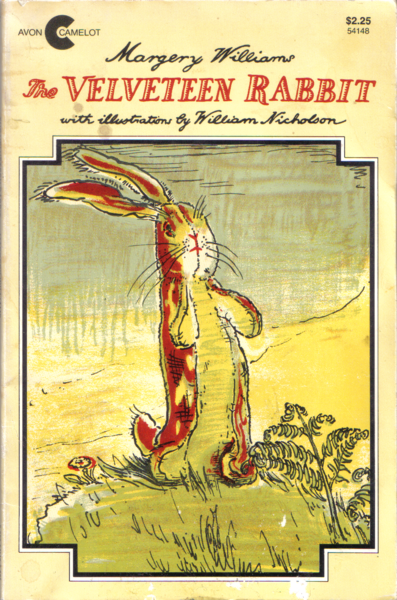The Velveteen Rabbit(ビロードのうさぎ） : ルクの絵本屋さん