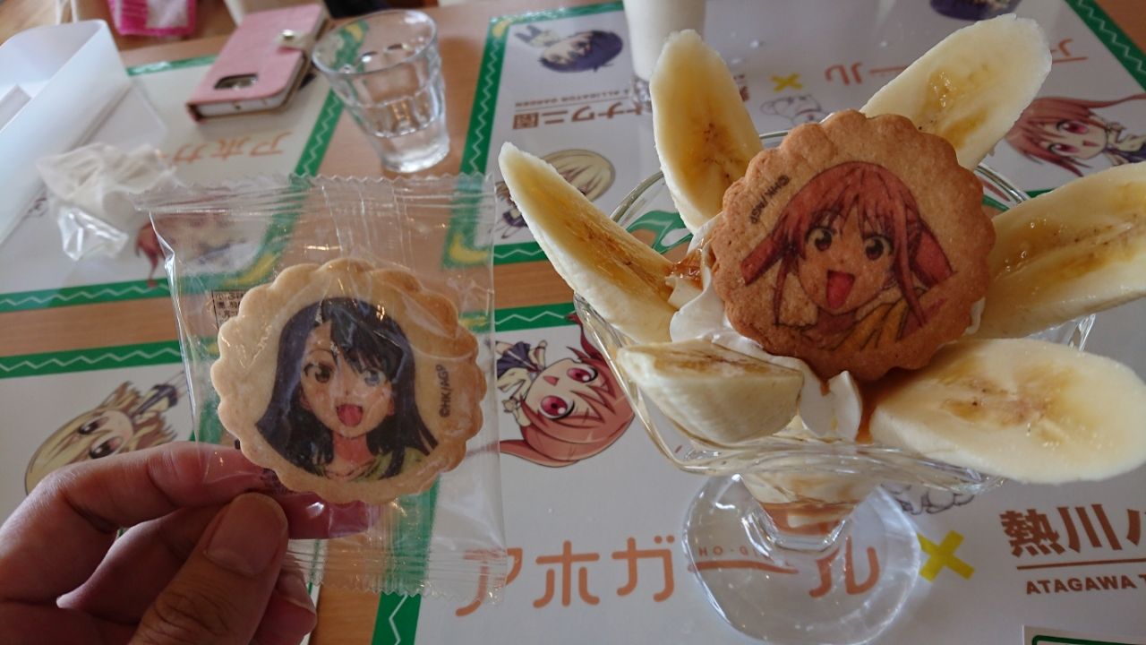 アホガール 伊豆急行 バナナワニ園 Livedoorblog