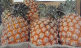 688384e9.jpg