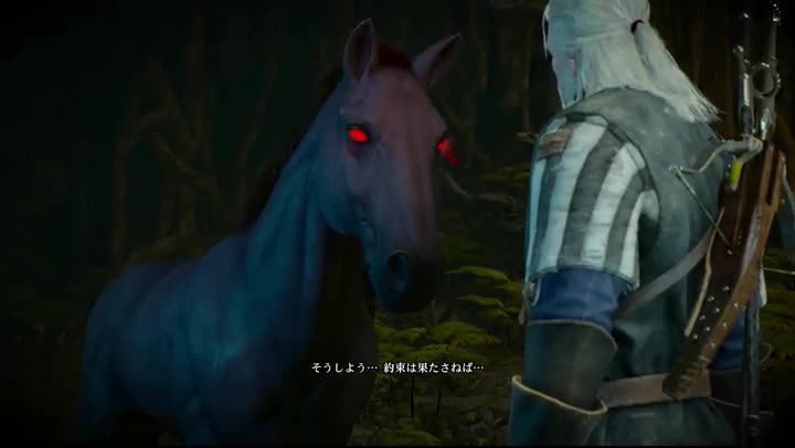ウィッチャー3 14日目 Lv9 タカ のファンタジー研究 ウィッチャー3 14日目 Lv9 タカ のファンタジー研究