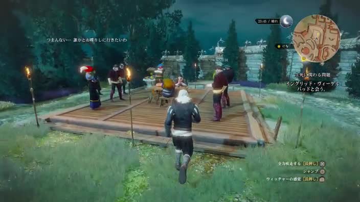 ウィッチャー3 33日目 Lv17 タカ のファンタジー研究