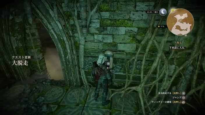 ウィッチャー3 63日目 Lv31 タカ のファンタジー研究 ウィッチャー3 63日目 Lv31 タカ のファンタジー研究