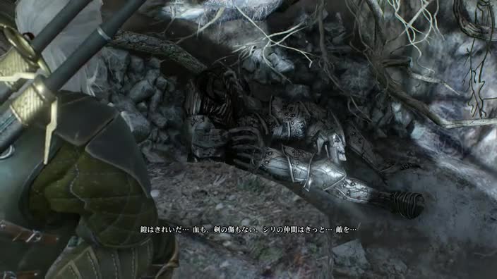 ウィッチャー3 43日目 タカ のファンタジー研究