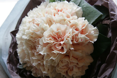 母の日にこの花
