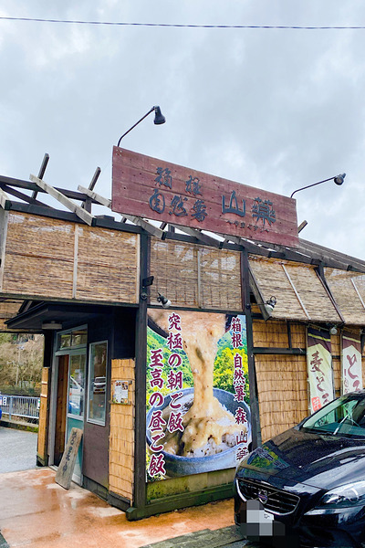 箱根 自然薯の森 山薬