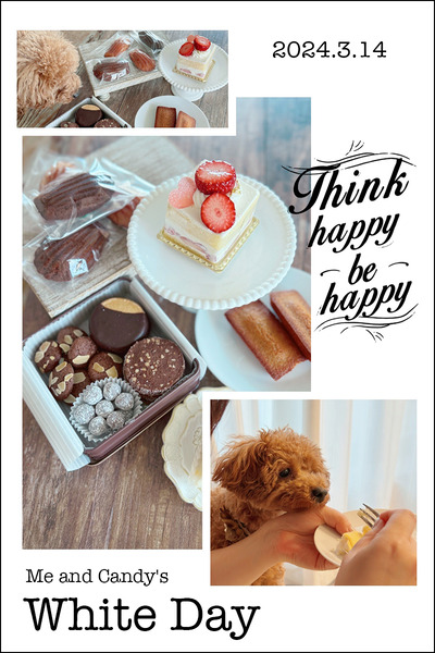 ��ȥ����ǥ��Υۥ磻�ȥǡ�