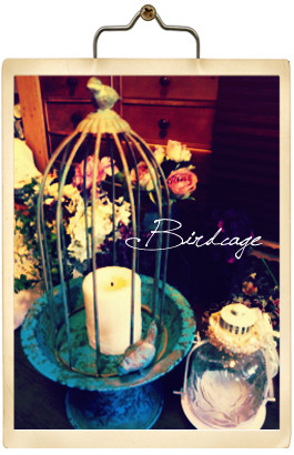 birdcage