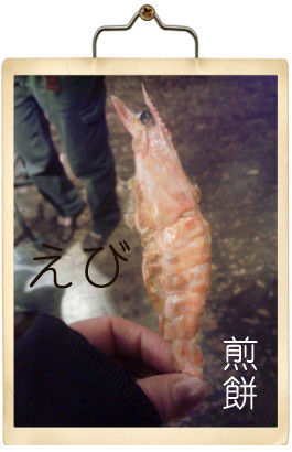 えび煎餅