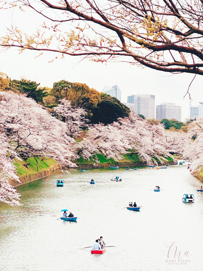 ��Ļ��ʥ����