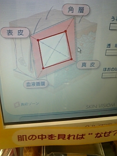 肌診断結果