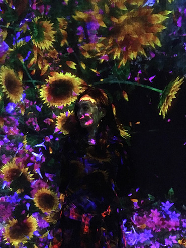 �������ܡ������