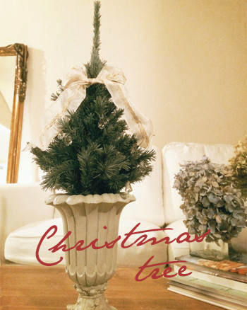 クリスマスツリー