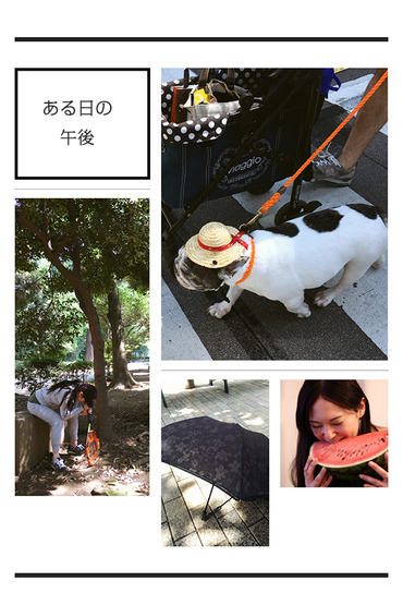 ある日の午後