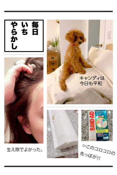 毎日いちやらかし
