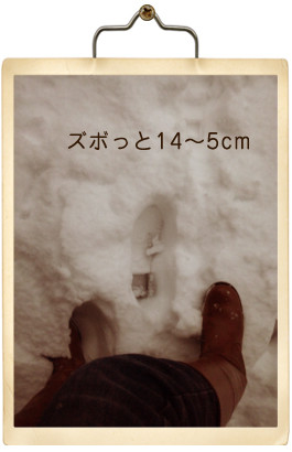 ズボっ