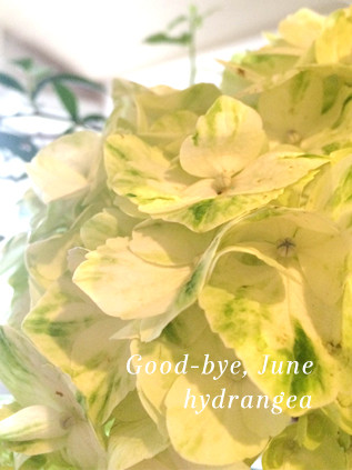 Good-bye june