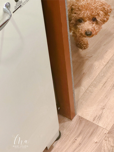 なにやっとんの?