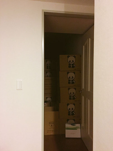 ダンボールの山