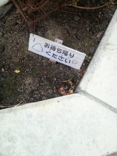 持ちかえってね☆