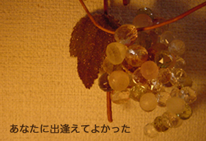 ぶどう