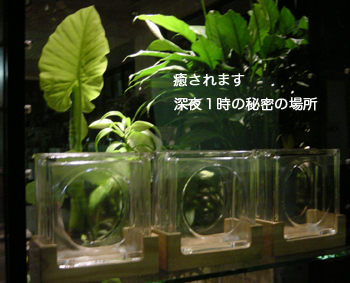 癒し