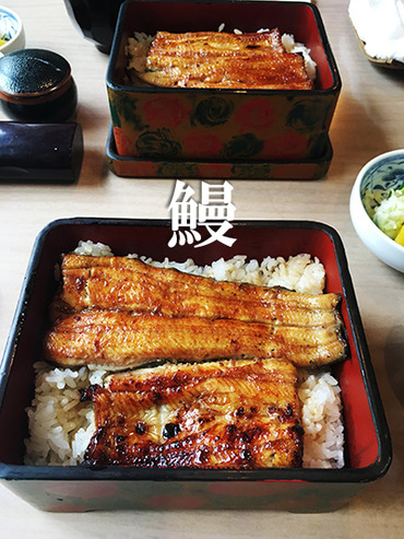 鰻だぜ!