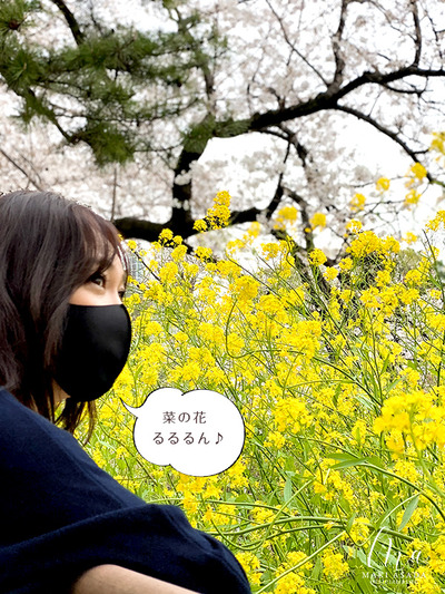 ��Ļ��ʥ���ڤβ�