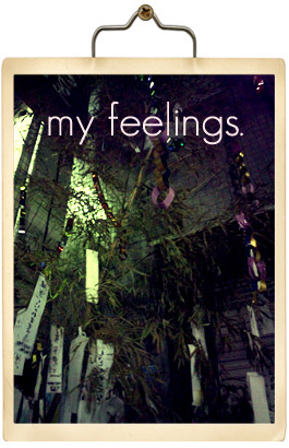 my feelings