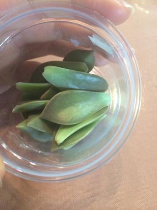 野菜のサプリメント