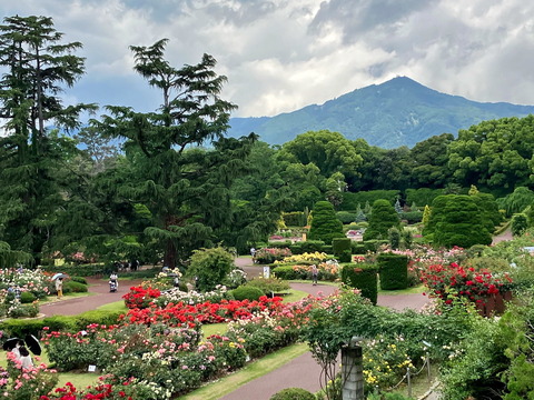 展望テラスより2