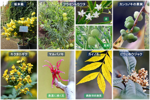221121植物園