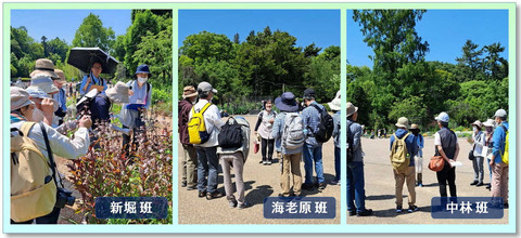 230516-植物園_1