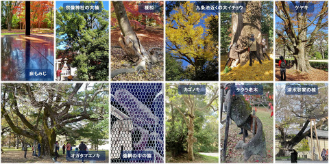 京都御苑