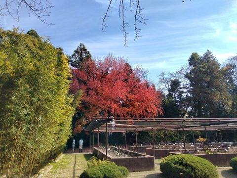 IMG_20211118_110404 (002)