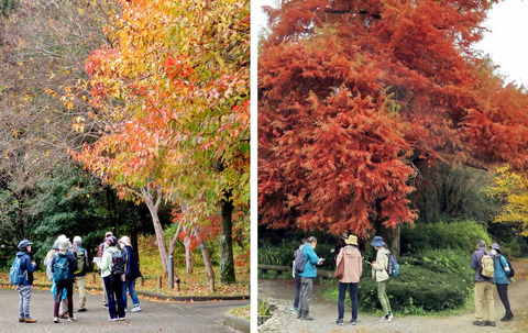 221121植物園0