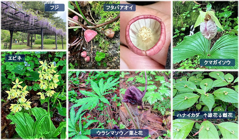 230419植物園研修会2