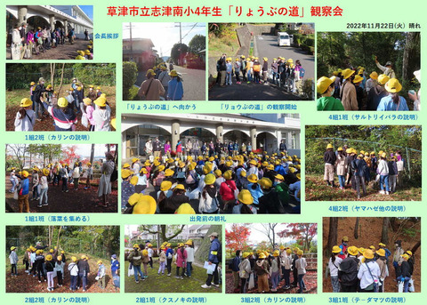 志津南小観察会