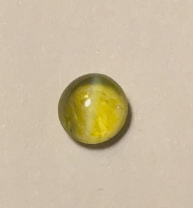 cat's-eye