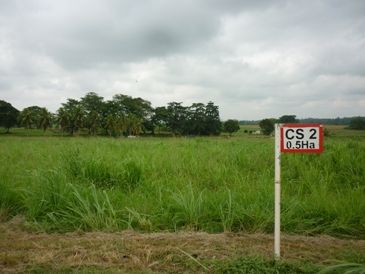 P1040400