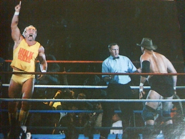 今日は何の日】ホーガンvsハンセン/日米レスリングサミット : 行かない