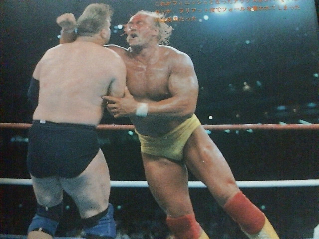 今日は何の日】ホーガンvsハンセン/日米レスリングサミット