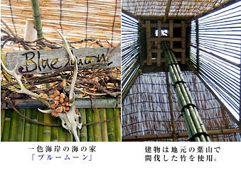 和ペリティーボな海の家