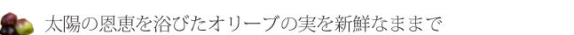 ttle_color02